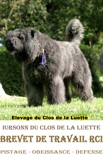 Iursonn ball du Clos de la Luette