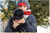 CHIOT